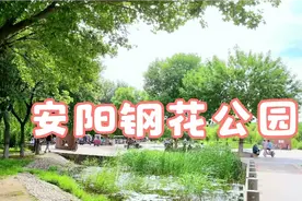 安阳市殷都区钢花公园游记视频封面