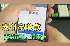 个人和小微也可申请支付宝商业版收款码，无需执照，费率仅0.38%视频封面