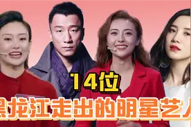 14位黑龙江籍明星艺人，六位涌进央视主持行列，黑土地真出人才啊视频封面