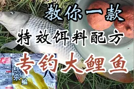 教你一招，饵料这样搭配，专钓大鲤鱼。鲤鱼草鱼也爆护。视频封面