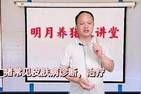 猪8种常见皮肤病的诊断和防治，条条详细实用视频封面