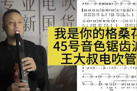 《我是你的格桑花》王大叔电吹管45号音色 非常好听视频封面