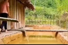 了解荒野，学习更多荒野技能愿和您一起探讨荒野视频封面