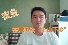 创业9年的80后认为，农业应该再来一次轰轰烈烈的“上山下乡”。视频封面
