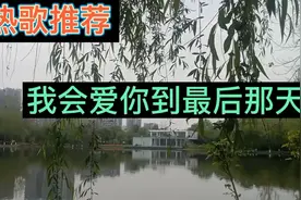 热歌推荐(我会爱你到最后那天)好歌曲好听好听好听视频封面