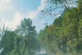 时光易老，愿岁月待你以温柔。视频封面