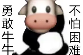 MM bbm都在这里了视频封面