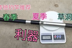 钓鱼人的烦恼：新鱼竿还没用后堵就掉了，这次又被商家坑了视频封面