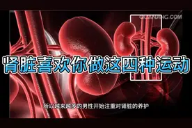 肾脏喜欢你做这四种运动，坚持时间久了肯定会有回馈视频封面