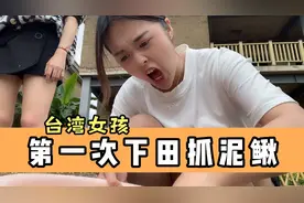 台湾女孩虽是农村长大，却第一次捉泥鳅，跟贝贝在田里不知所措！视频封面