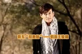 靳东“双胞胎”——鹤岗王骏毅视频封面