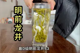 清仓处理朋友的一款明前龙井，芽头肥壮的跟瓜子一样，天花板级别视频封面