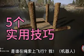 森林之子，5个实用技巧视频封面