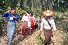傣族泼水节，采花，竖“赏建"树标志着可以过狂欢泼水洗礼了。视频封面