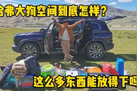 哈弗大狗空间到底怎么样？看看床车自驾游这么多东西是怎么放的？视频封面