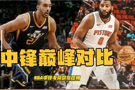 NBA巅峰对决：同为传统中锋为啥戈贝尔拿大合同，庄神颠簸流离？视频封面