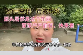 25层高楼惊现毒蛇，源头在哪？快看你家有没有视频封面