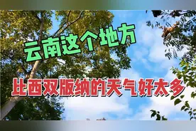 云南真正四季如春的地方，比西双版纳要好太多视频封面