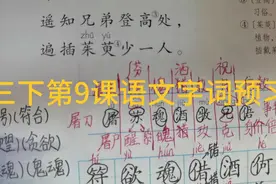小学三下语文第9课字词预习视频封面