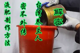 台湾千万身家老板！解密台湾养兰高人液肥制作方法！简单易学视频封面