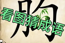 成语猜猜看，6张图，研究生大姐只猜出4个，我赌一箱啤酒你猜不全视频封面