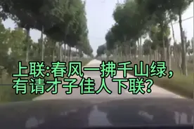 上联:春风一拂千山绿，
有请才子佳人下联？视频封面