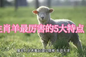 生肖羊最厉害的5大特点？视频封面