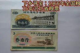 下乡寻宝：1966年全国粮票！1975年河北省粮票！视频封面