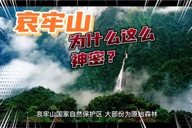 神奇的云南哀牢山，有虎有蛇，五十年代还有原始部落，你了解吗？视频封面
