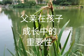 父亲在孩子的成长中的重要性视频封面