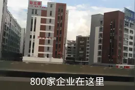 顺德最大工业区，光厂房就有50多栋，包租婆我不想努力了可以吗？视频封面