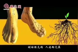 足底有66个穴位72个反射区，对应人体内脏视频封面