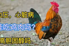 高血压心脏病患者能吃鸡肉吗？会升高胆固醇吗？视频封面