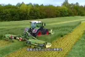 关于青储小麦做饲料的问题，终于有了两全其美的办法了。视频封面