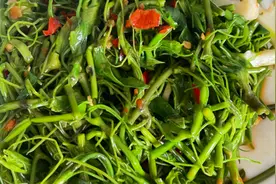 5.1的劳动成果，劳动是光荣，野菜的美味，丝滑细嫩视频封面
