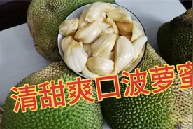 波萝蜜干包湿包怎么分，种子怎么种视频封面
