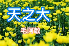 今天是母亲节毛阿敏《天之大》献给妈妈的歌，永远怀念亲爱的妈妈视频封面