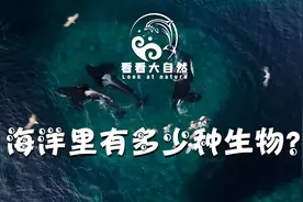 海洋中到底有多少种生物呢？