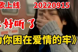 新歌上线《为你困在爱情的牢》李英最新力作 特好听 分享给朋友们视频封面