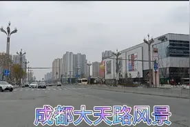 成都大丰大天路上的花也开了，还有两个大型商场，人和车多吗？视频封面