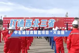 中石油甘肃160兆瓦光伏制氢项目上马 开启西北氢能布局视频封面