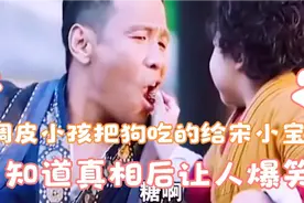 调皮小孩把狗吐出来的东西给宋小宝吃 知道真相后让人忍不住爆笑视频封面