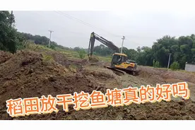 家门口稻田收成不好，放干挖鱼塘真的好吗视频封面