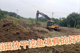家门口稻田收成不好，放干挖鱼塘真的好吗视频封面
