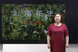 003部编版五年级语文上册第2课《落花生》（第一课时）视频封面