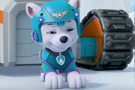 没有受困的雪撬，只有勇敢的狗狗视频封面