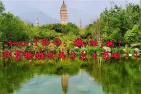 tear（动词：撕/扯/拔）（把某物撕成两半怎么说呢？）视频封面