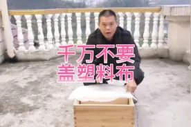 冬天千万不要给蜂群盖塑料布视频封面
