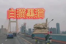 你知道南昌八一大桥白猫黑猫的来历吗？视频封面