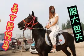 美女爱骑马，只要见到马就想骑，咱们看看她的骑马技能到底怎么样视频封面